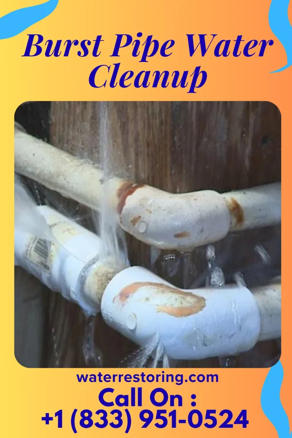Burst Pipe Water Cleanup in Franklin Park, FL