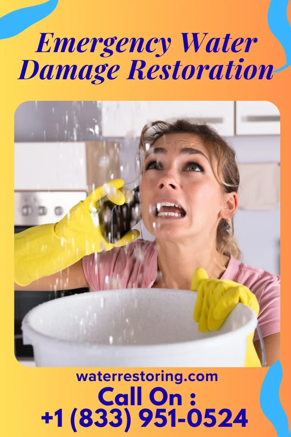 Emergency Water Damage Restoration in Franklin Park, FL