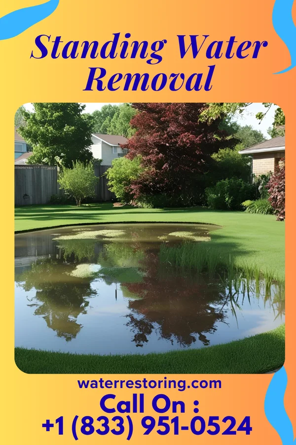 Standing Water Removal in Franklin Park, FL
